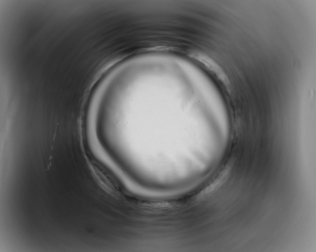 X0000094931425200712271544