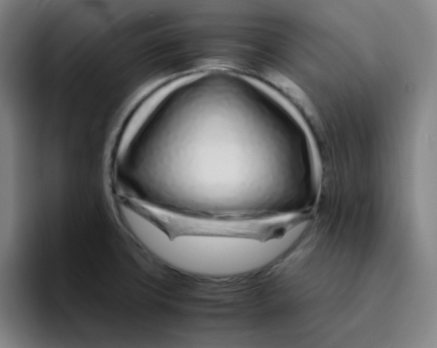 X0000094931427200712271544