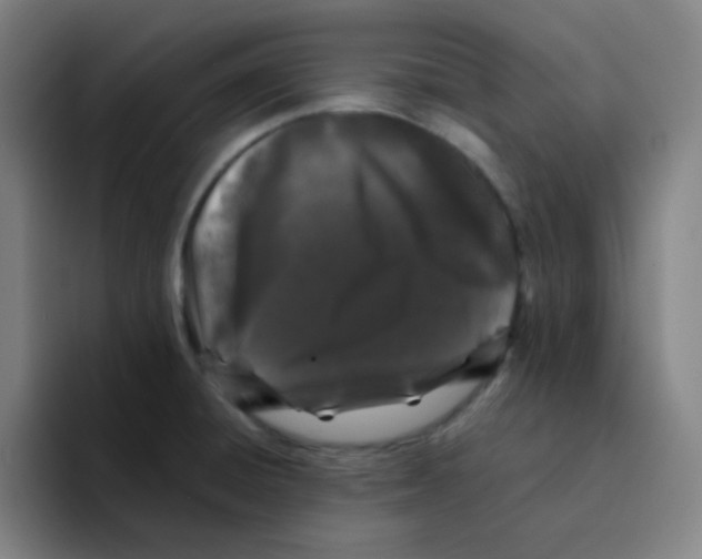 X0000094931428200712271544