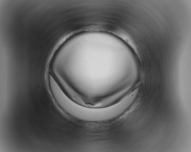 X0000094931429200712271544