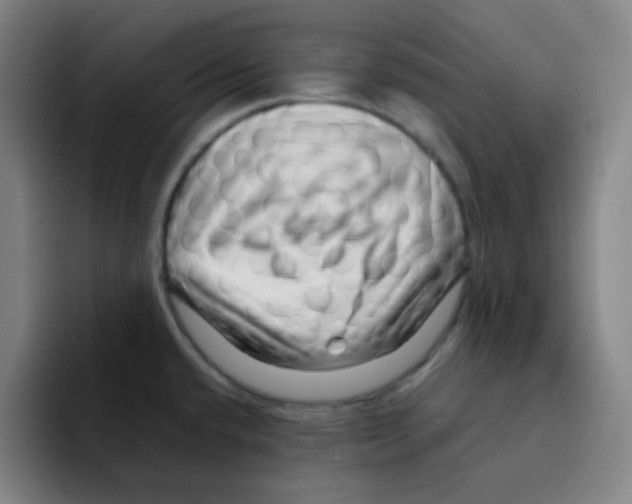 X0000094931432200712271544