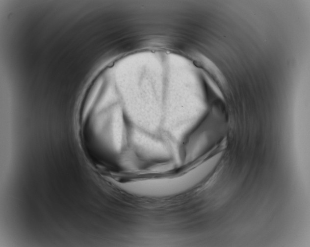 X0000094931435200712271544