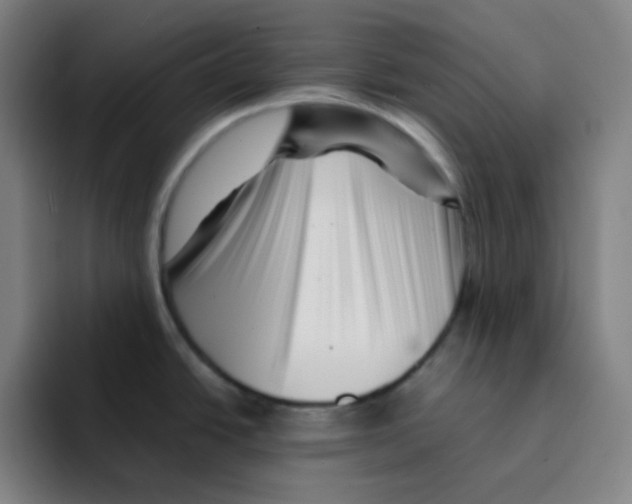 X0000094931438200712271544