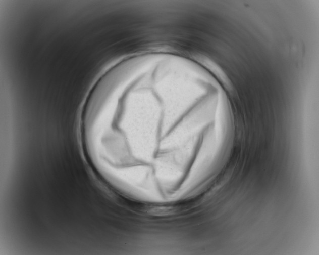 X0000094931439200712271544