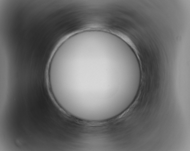 X0000094931440200712271544