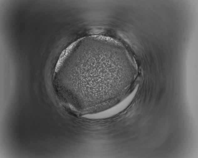 X0000094931441200712271543