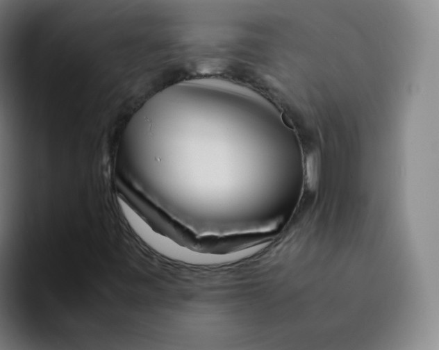X0000094931443200712271543
