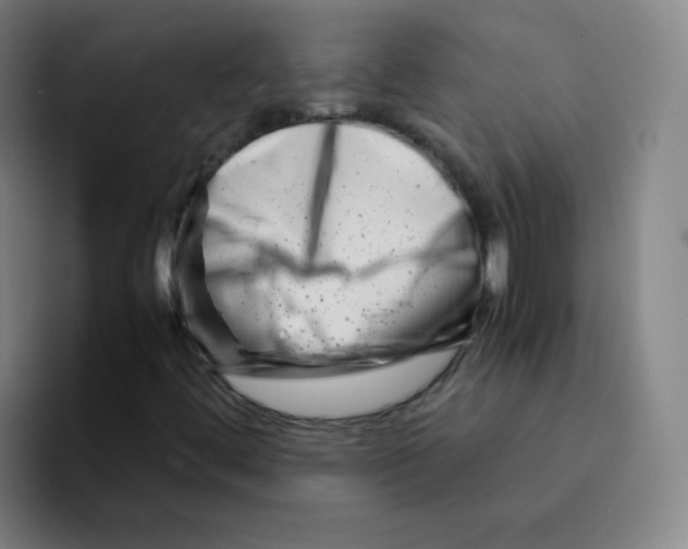 X0000094931444200712271543
