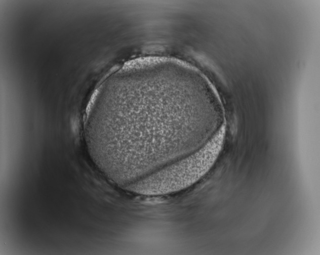 X0000094931445200712271543