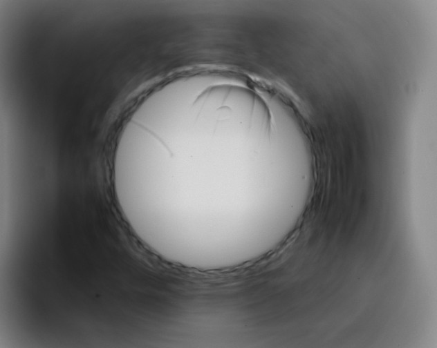 X0000094931448200712271543