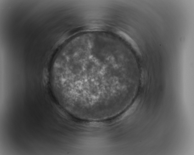 X0000094931449200712271543