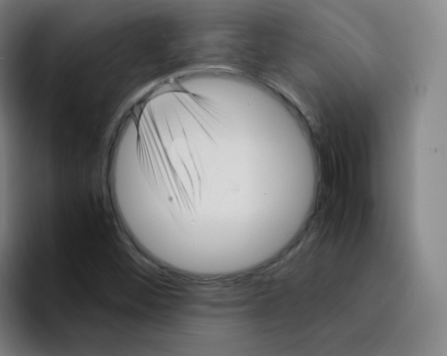 X0000094931452200712271543