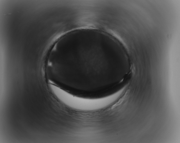 X0000094931455200712271543