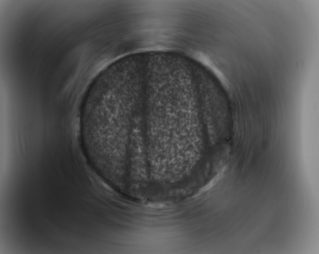 X0000094931459200712271543