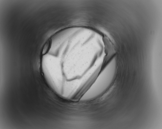 X0000094931461200712271543