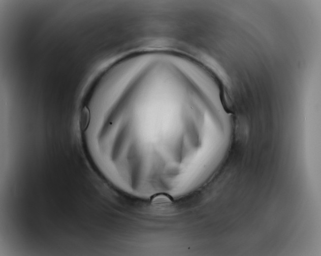 X0000094931464200712271543