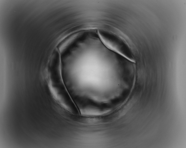 X0000094931465200712271543