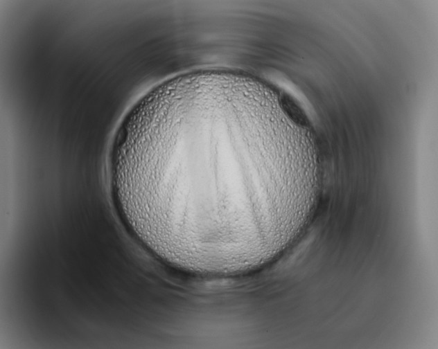 X0000094931467200712271543
