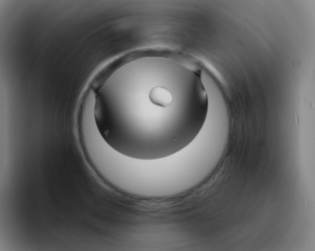 X0000094931468200712271543