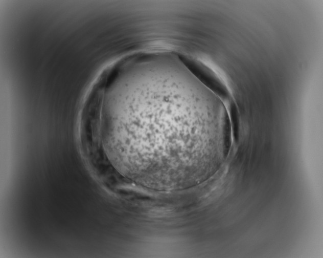 X0000094931477200712271543