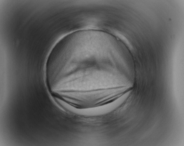 X0000094931479200712271543