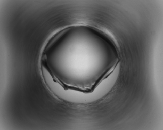X0000094931480200712271543