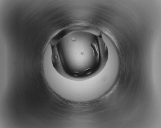 X0000094931481200712271543