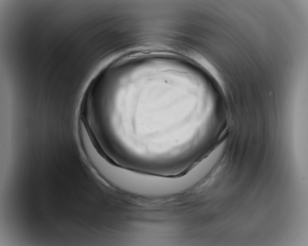 X0000094931485200712271543