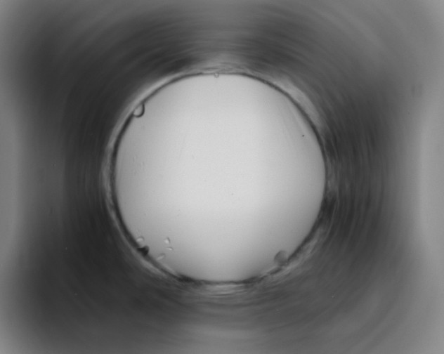 X0000094931486200712271543