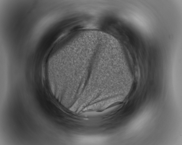 X0000094931487200712271543