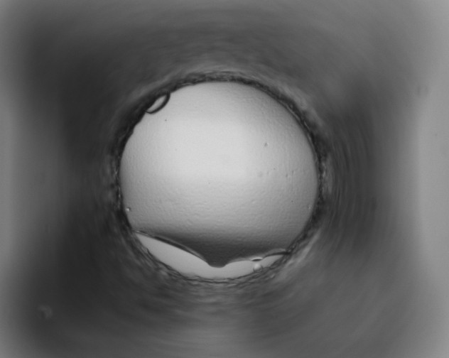 X0000094931494200712271542