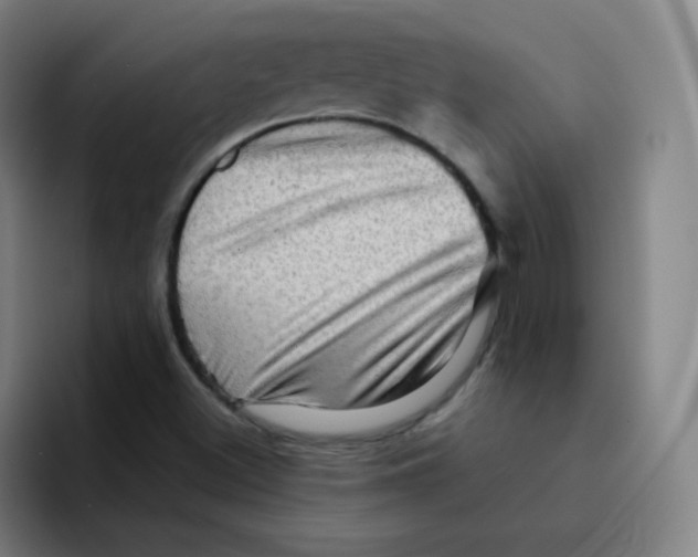 X0000094931500200712271542