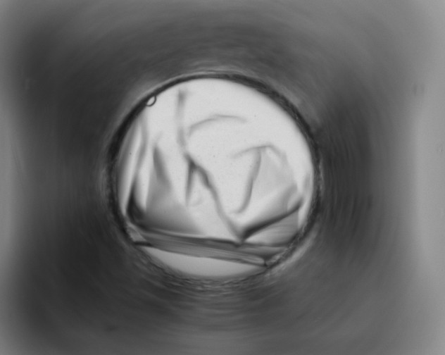 X0000094931501200712271542