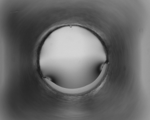X0000094931502200712271542