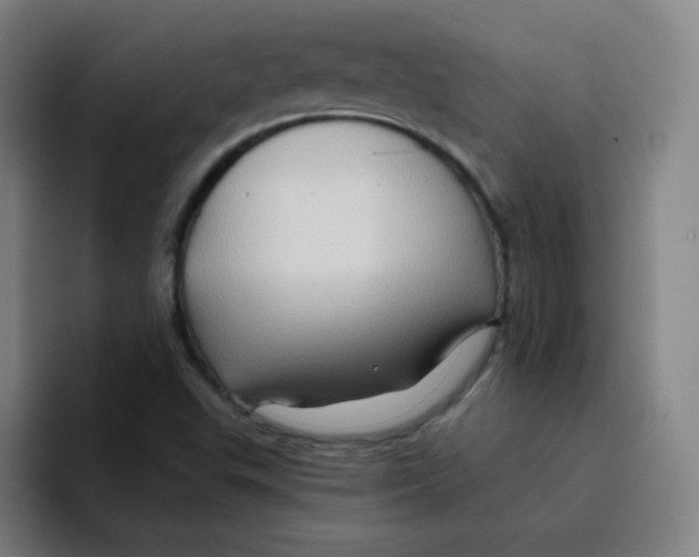 X0000094931503200712271542