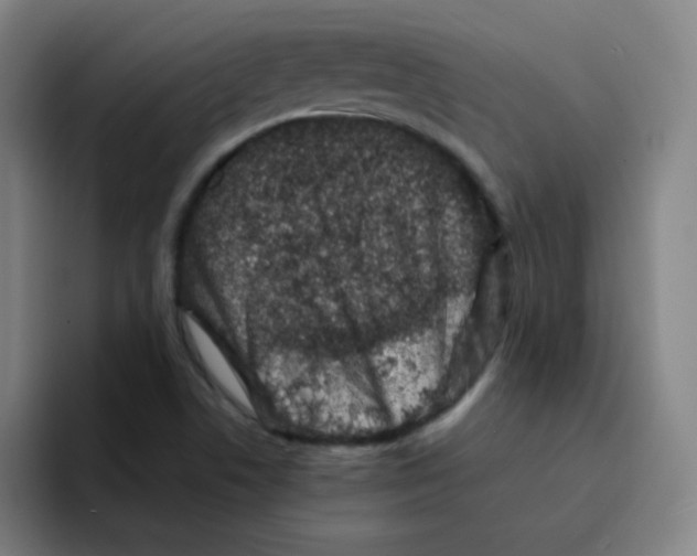 X0000094931506200712271542