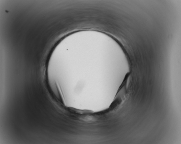 X0000094931507200712271542