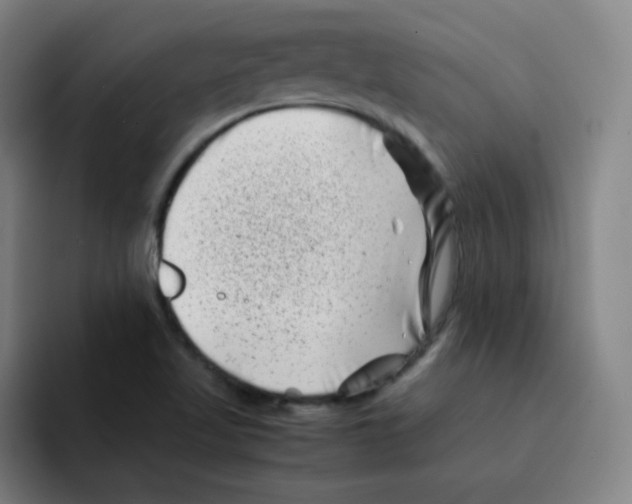 X0000094931509200712271542