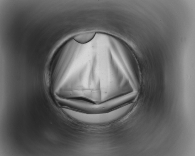 X0000094931510200712271542