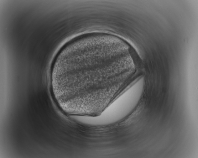 X0000094931515200712271542