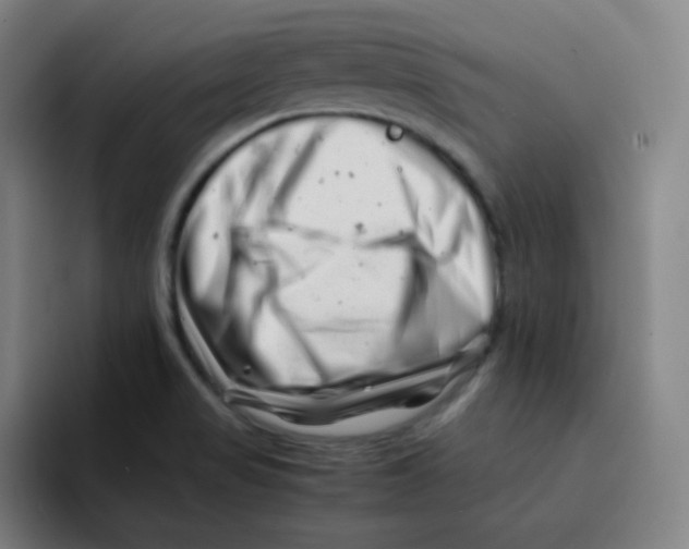 X0000094931517200712271542