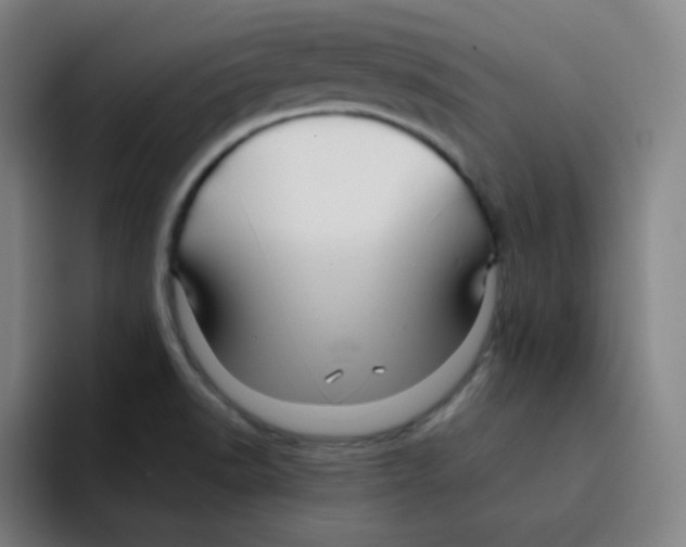 X0000094931518200712271542