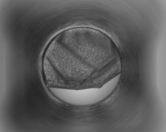 X0000094931519200712271542