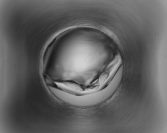 X0000094931520200712271542