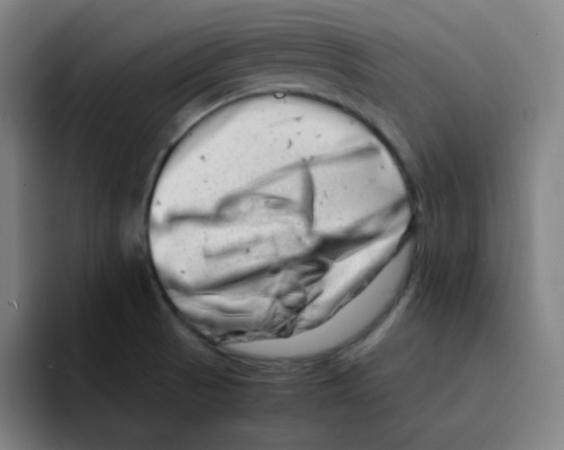 X0000094931521200712271542