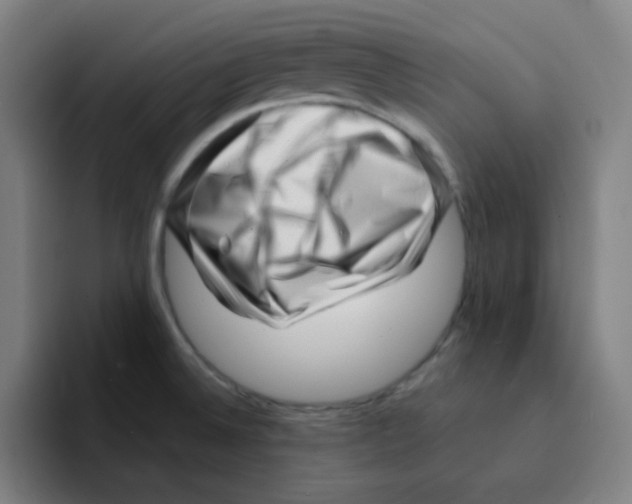 X0000094931524200712271542