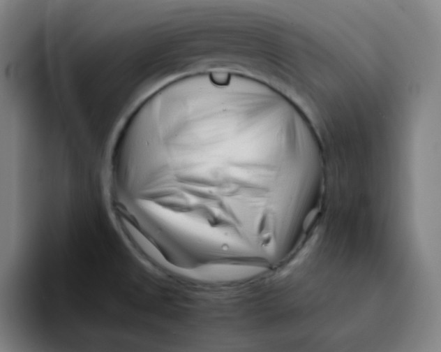 X0000094931525200712271542