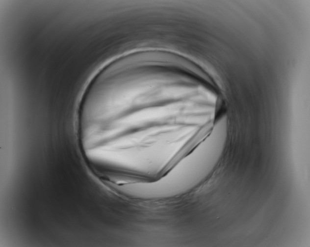 X0000094931527200712271542