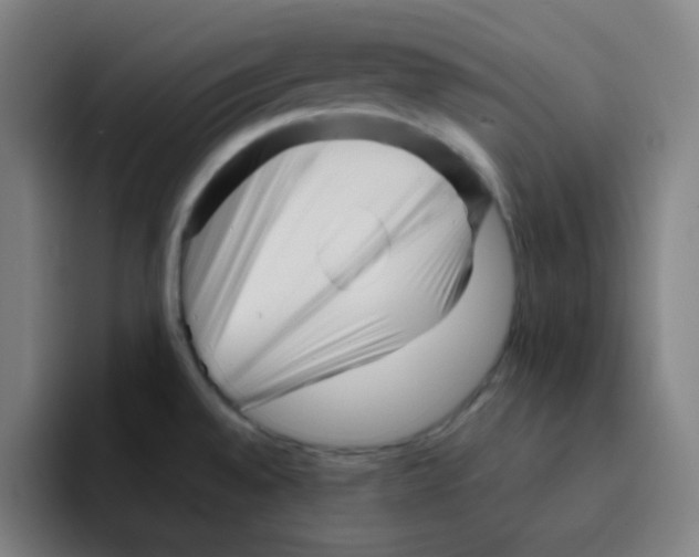 X0000094931528200712271542