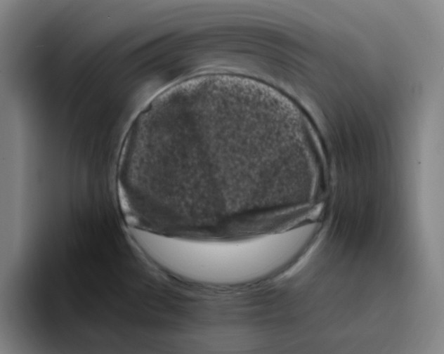X0000094931529200712271542